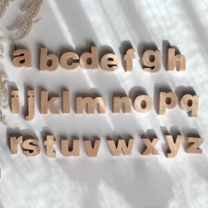 Wooden lower case alphabet puzzle toy 2