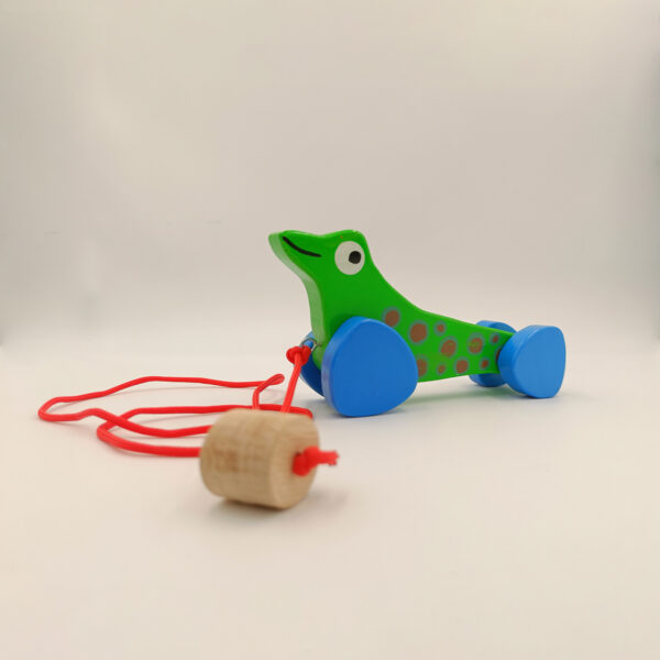 Sea Lion (Green) - Wooden Pull Toy Along Toy Sea Animal’s