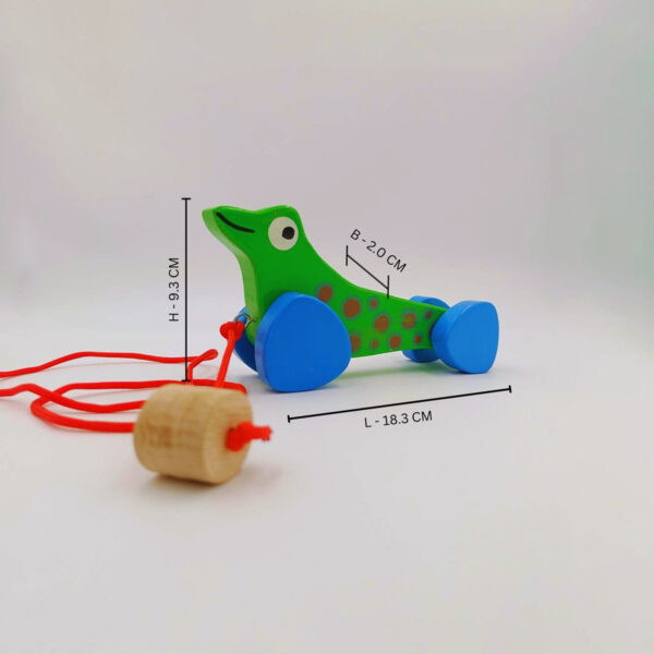 Sea Lion (Green) - Wooden Pull Toy Along Toy Sea Animal’s