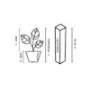 Plant dimension 14 cm normal plants