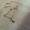 Leaves with snail stone 5